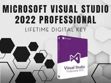 Microsoft Visual Studio 2022 Professional (PC) Digital Key