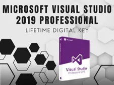Microsoft Visual Studio 2019 Professional (PC) Digital Key